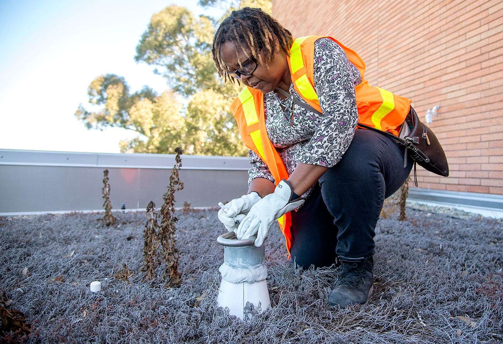 Woman in an orange safety vest and gloves inspecting a device on a rooftop garden with dry plants.