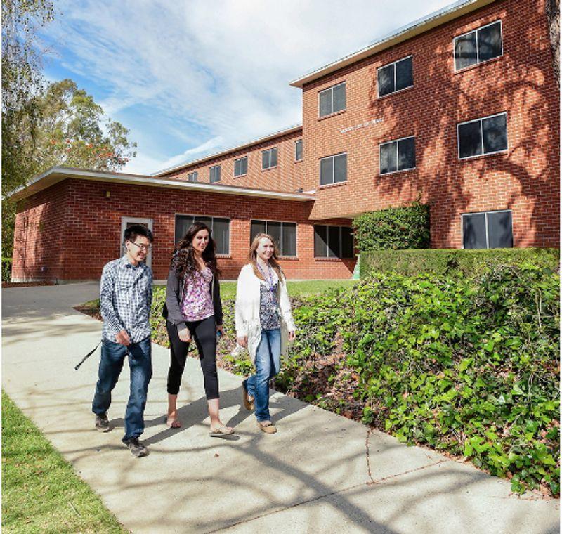 Three young adults walking on a sidewalk beside a brick building with bushes and trees nearby.