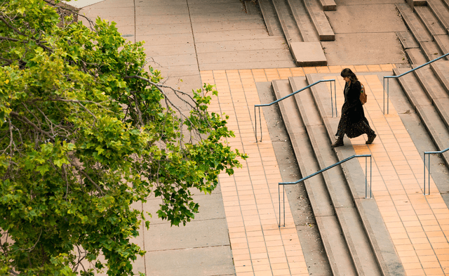 Woman in a long dress walking down wide exterior steps with handrails, near a leafy green tree.