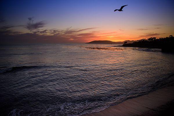 Sunset over ocean with waves, silhouetted bird in flight, and distant land on horizon.