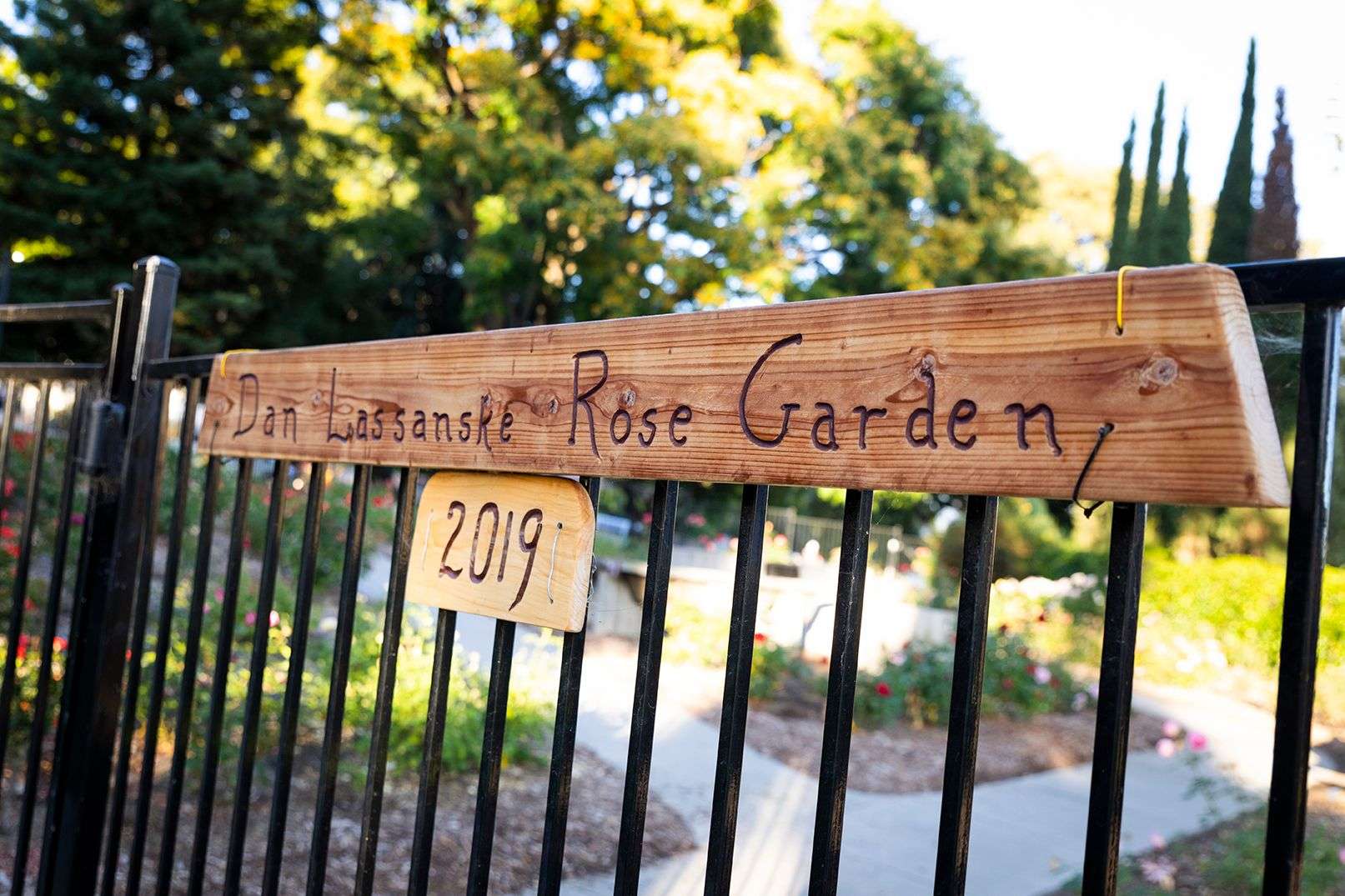 Wooden sign on black metal gate reads "Dan Lassanske Rose Garden 2019" with garden path and roses visible behind.