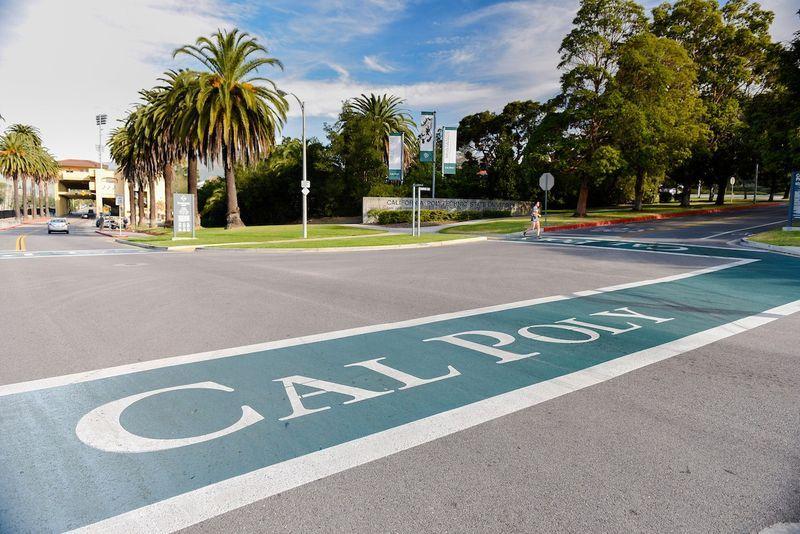 Crosswalk with "Cal Poly" painted on the street near palm trees and greenery under a partly cloudy sky.