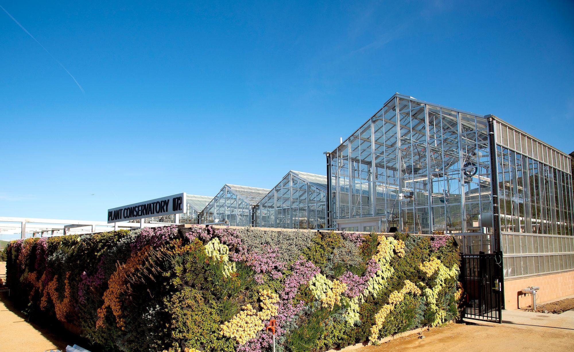 Glass greenhouse complex behind a vertical garden wall with various colorful flowers under clear blue sky.