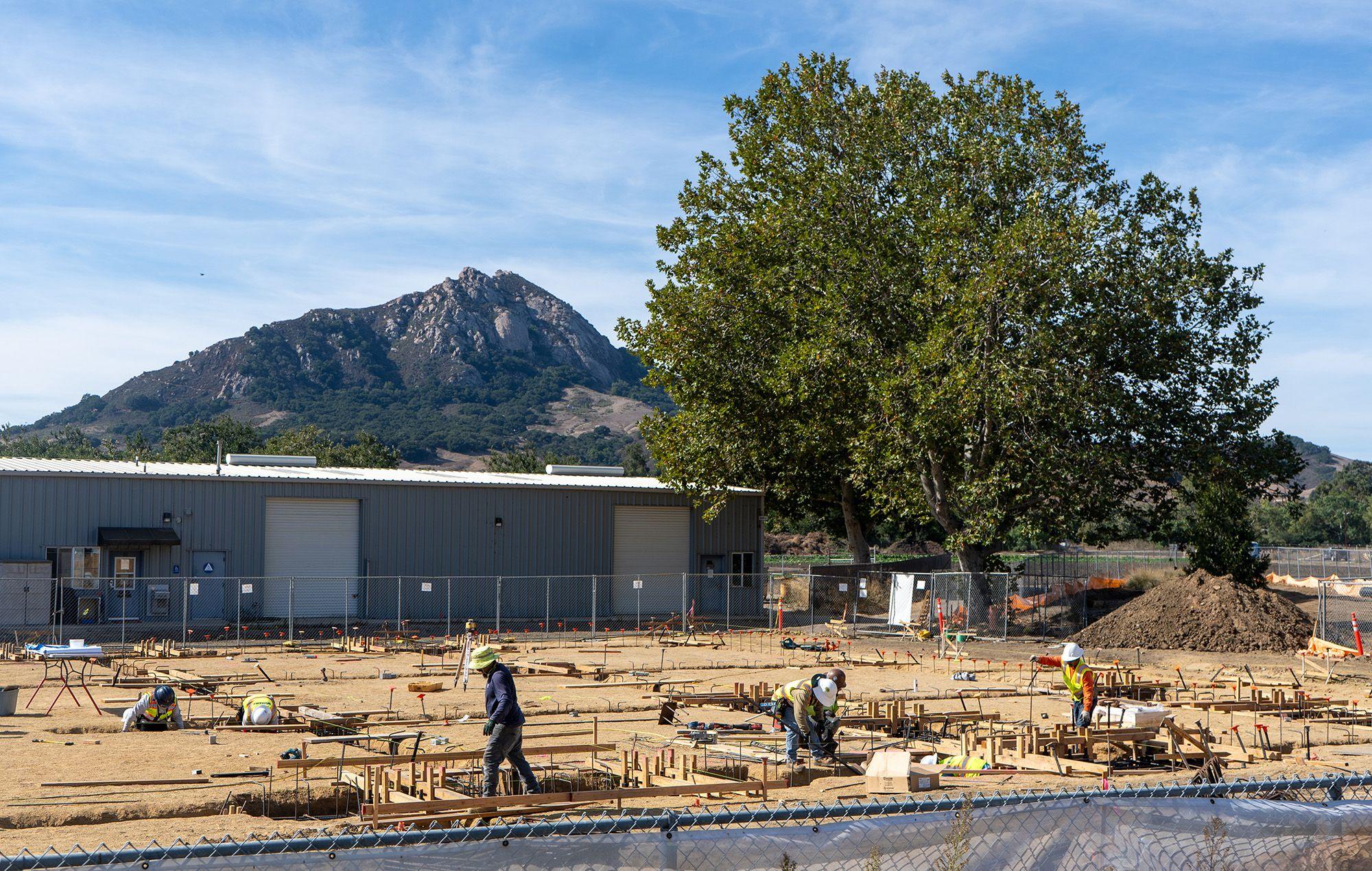 Construction workers in safety gear working on foundation framing at a site with a large tree and mountain in the background.
