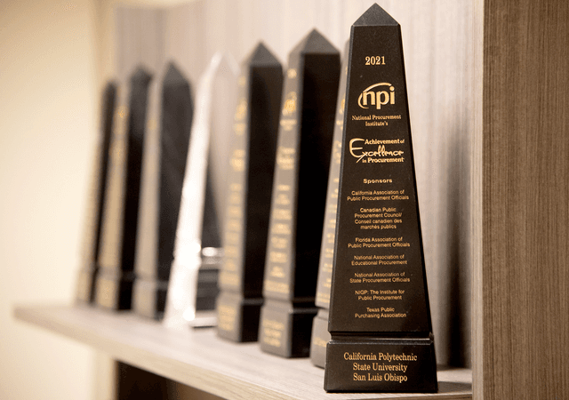 NPI 2021 Achievement Excellence in Procurement trophies lined up on a wooden shelf.