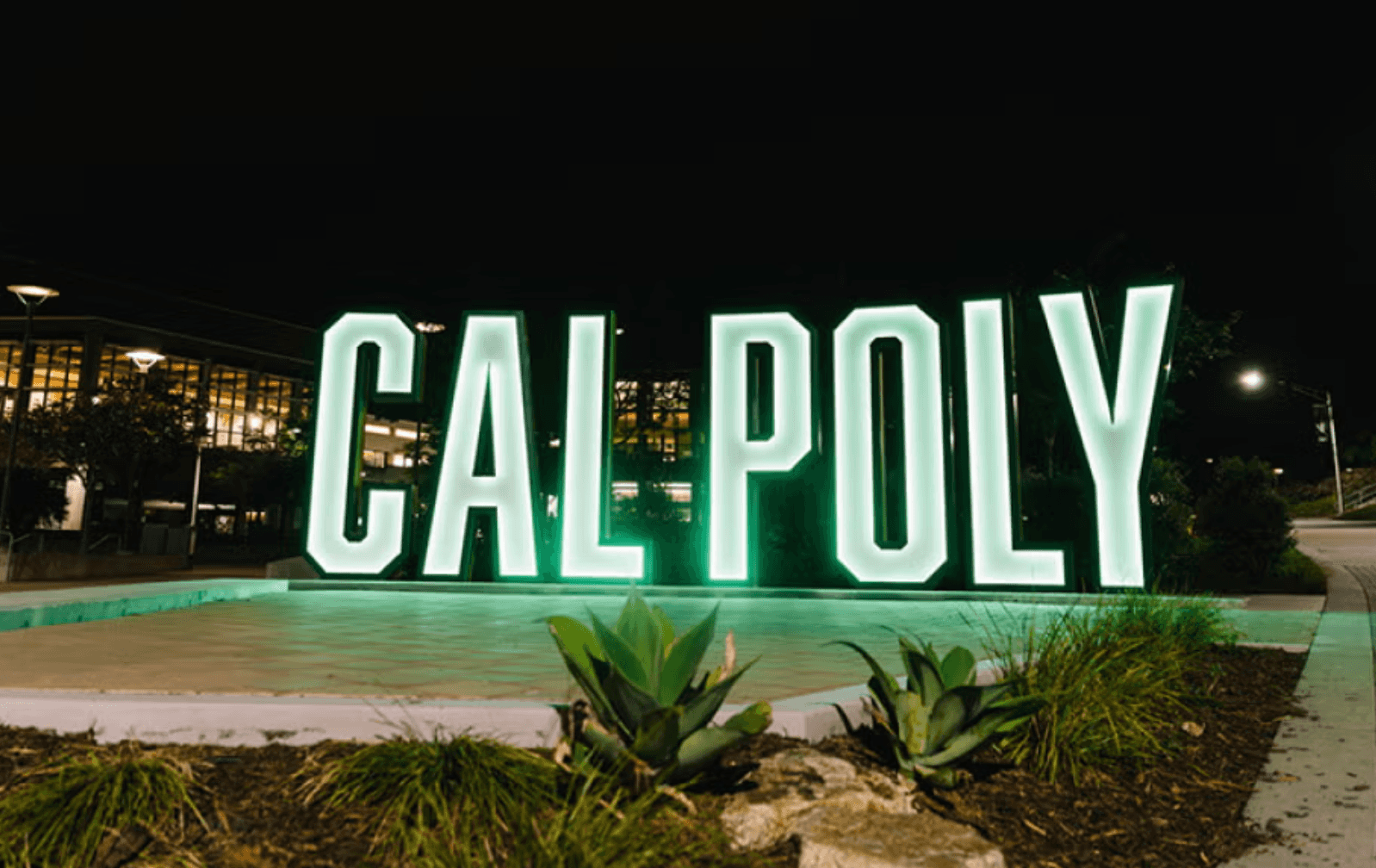 Large illuminated "CAL POLY" sign at night with plants and pathway in front.