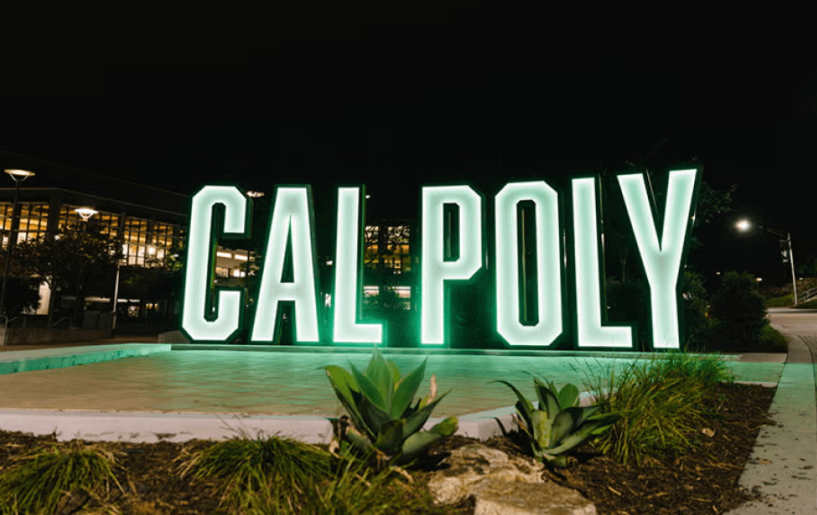 Large illuminated "CAL POLY" sign at night with plants and pathway in front.